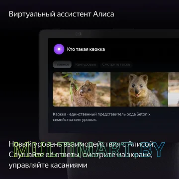 Умная колонка с дисплеем Яндекс Станция Дуо Макс (черный) картинка 7